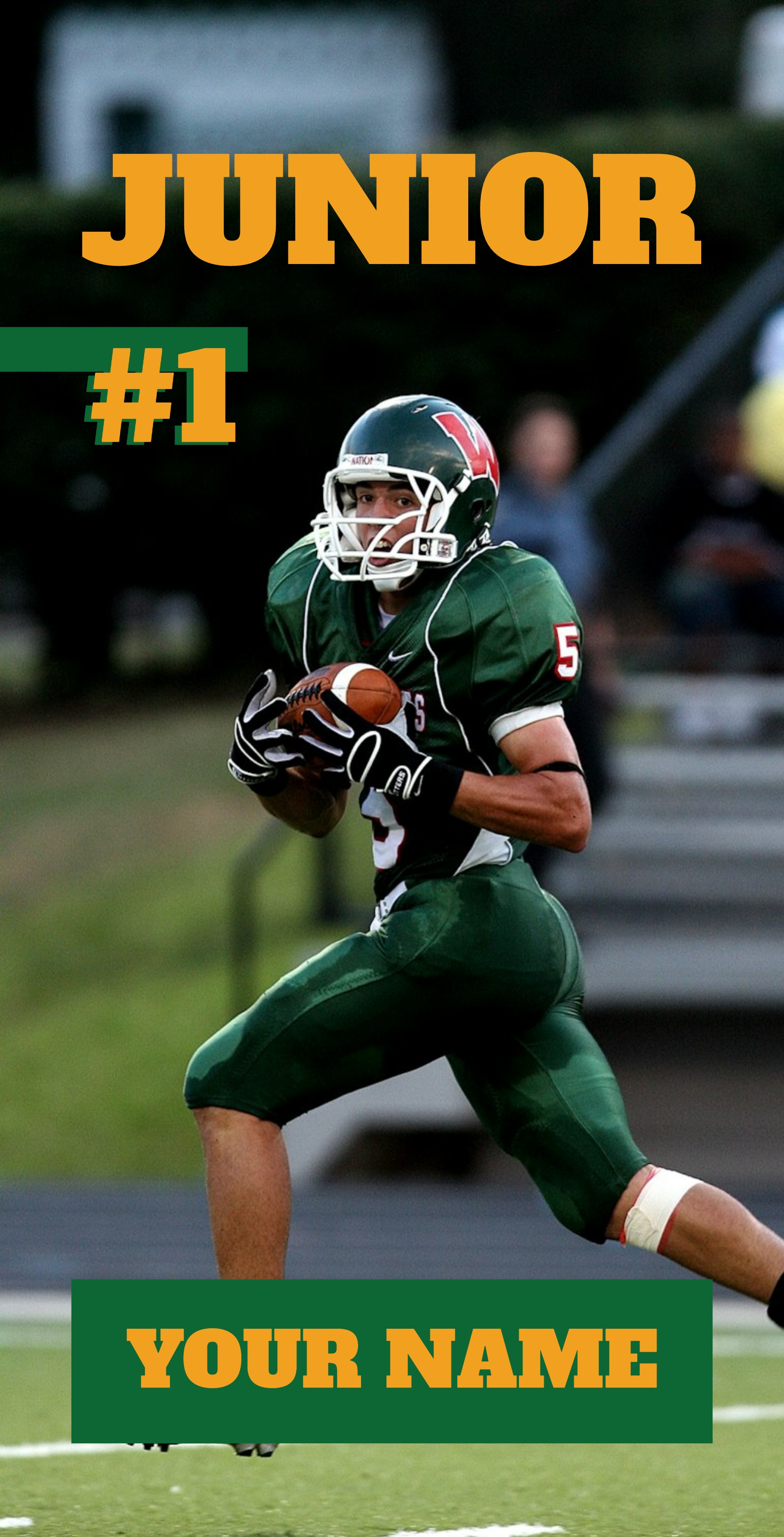 Festive Vinyl Banner (2 x 4) Vertical_Sports 2 